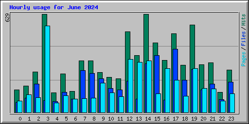 Hourly usage for June 2024