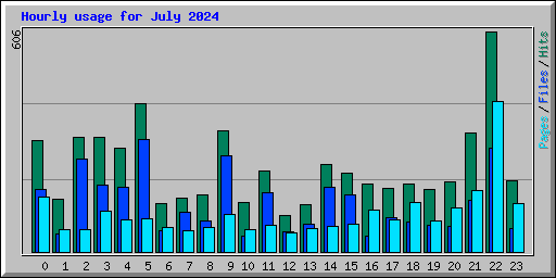 Hourly usage for July 2024