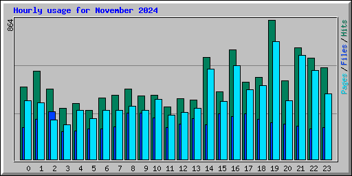 Hourly usage for November 2024