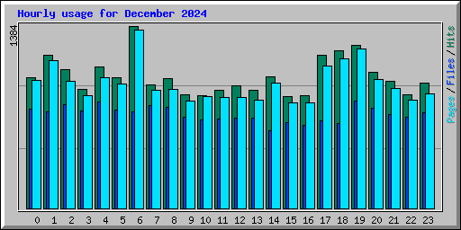 Hourly usage for December 2024