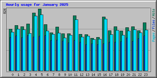 Hourly usage for January 2025