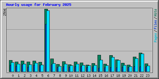 Hourly usage for February 2025