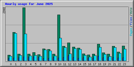 Hourly usage for June 2025