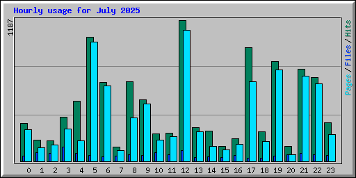 Hourly usage for July 2025