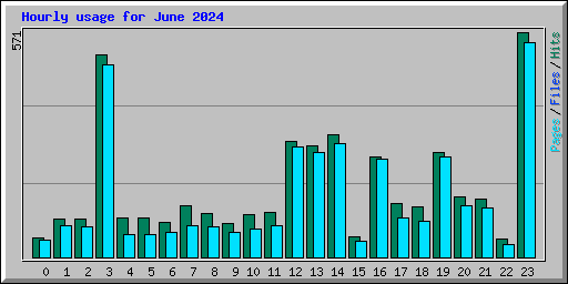 Hourly usage for June 2024