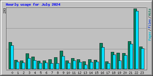 Hourly usage for July 2024