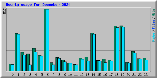 Hourly usage for December 2024