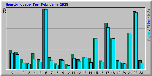 Hourly usage for February 2025
