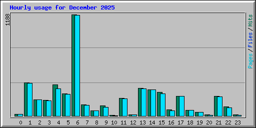 Hourly usage for December 2025