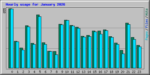 Hourly usage for January 2026
